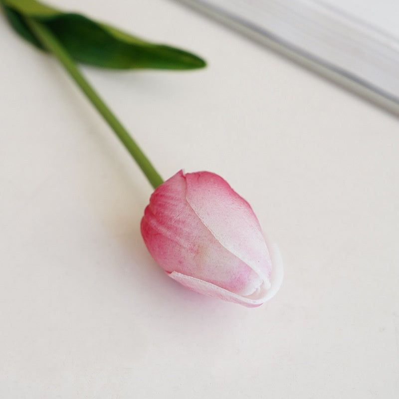 stem_foliage_tulip_green_leaf_shot