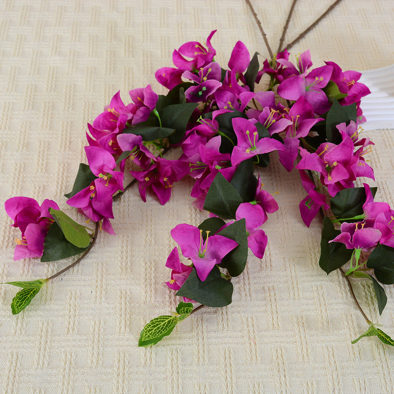 multi_color_bougainvillea_set