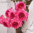 peach_apricot_garden_rose_bunch_studio