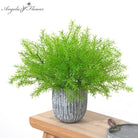 soft_asparagus_fern_bouquet_fill