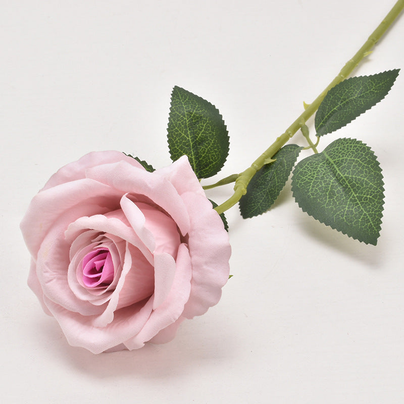 scarlet_rose_romantic_scene