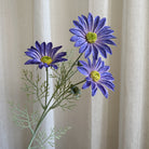 3d_daisy_petal_texture
