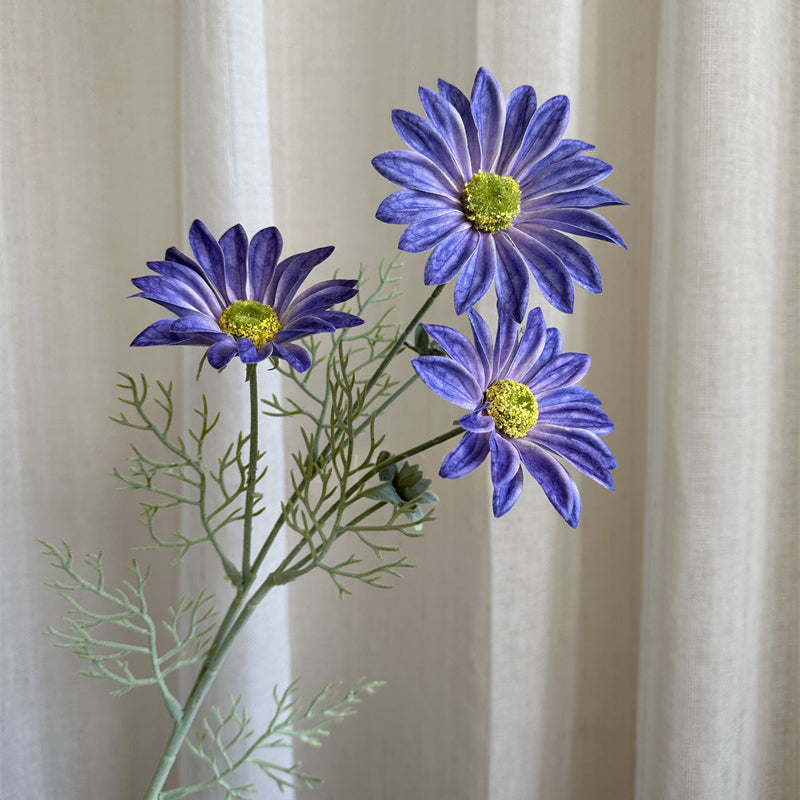 3d_daisy_petal_texture