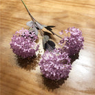 reseller_hydrangea_full_shade_collection