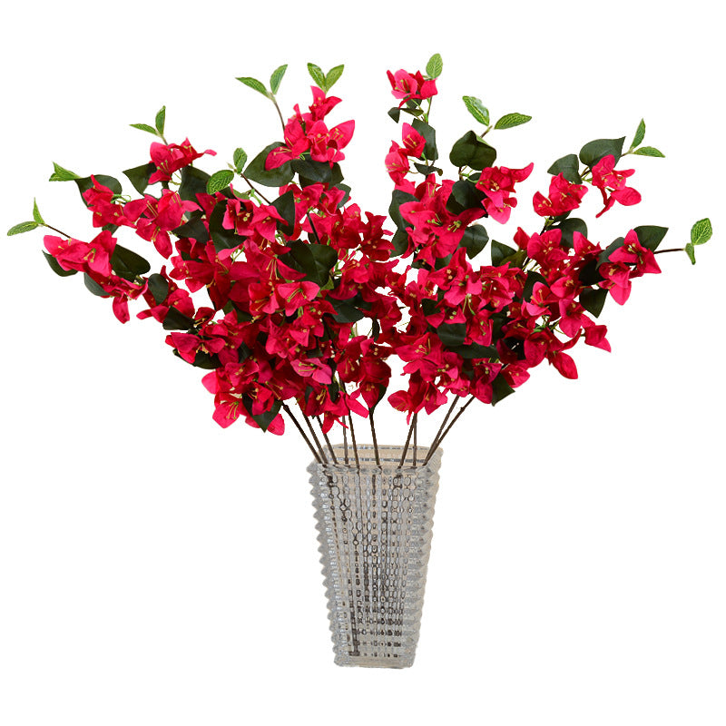 light_pink_bougainvillea_branch