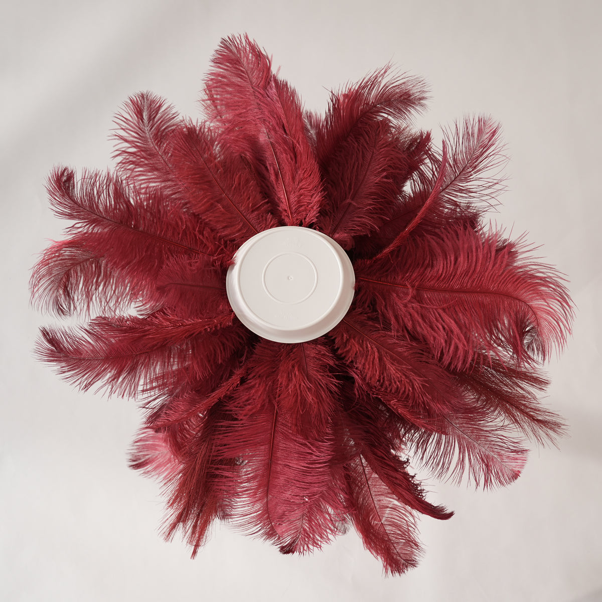 Single ostrich feather centerpiece in gold vase isolated studio shot