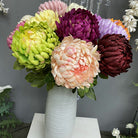 fuchsia_chrysanthemum_single_bloom
