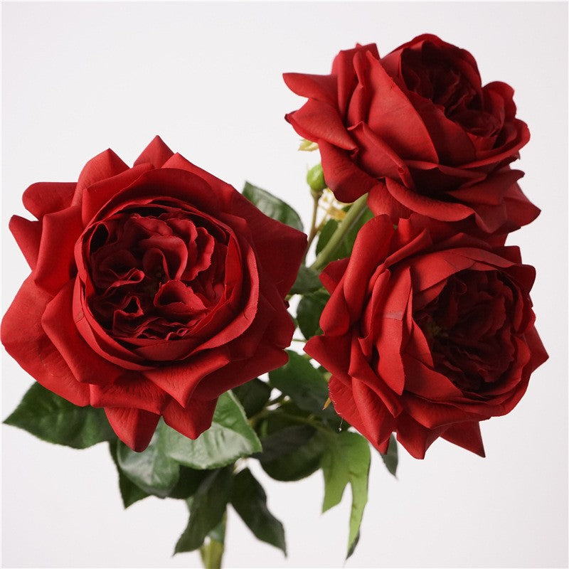 creamy_white_garden_rose_single_stem
