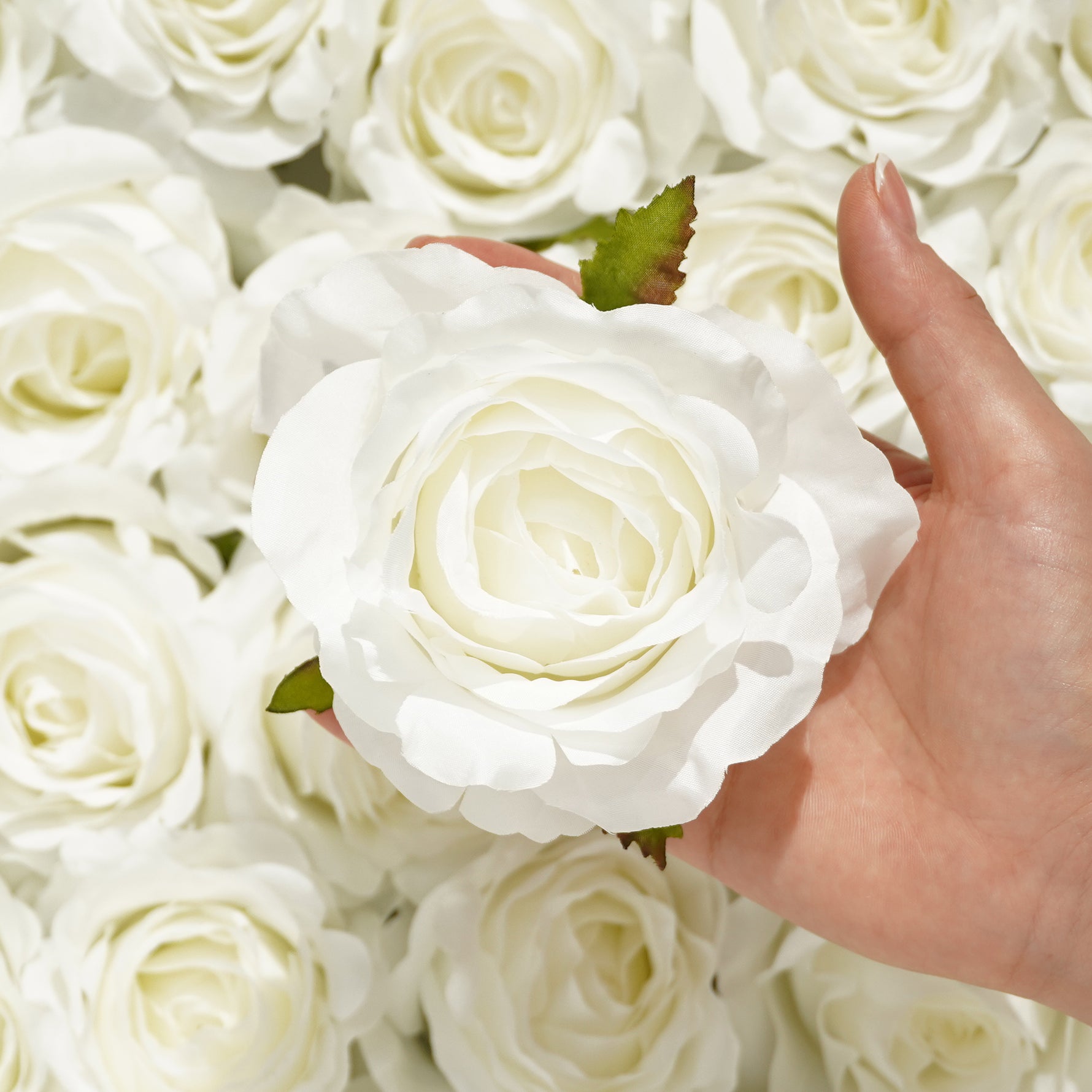 pale-pink-silk-austin-rose