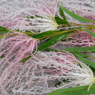 soft‑pink‑fake‑beauty‑silk‑stems‑flat‑lay‑tulle‑fabric‑product‑shot