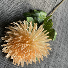 home_chrysanthemum_lime_green