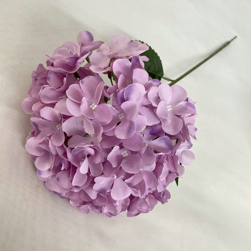 hydrangea-flower-arrangement-material