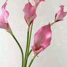 purple-faux-calla-lily-flower