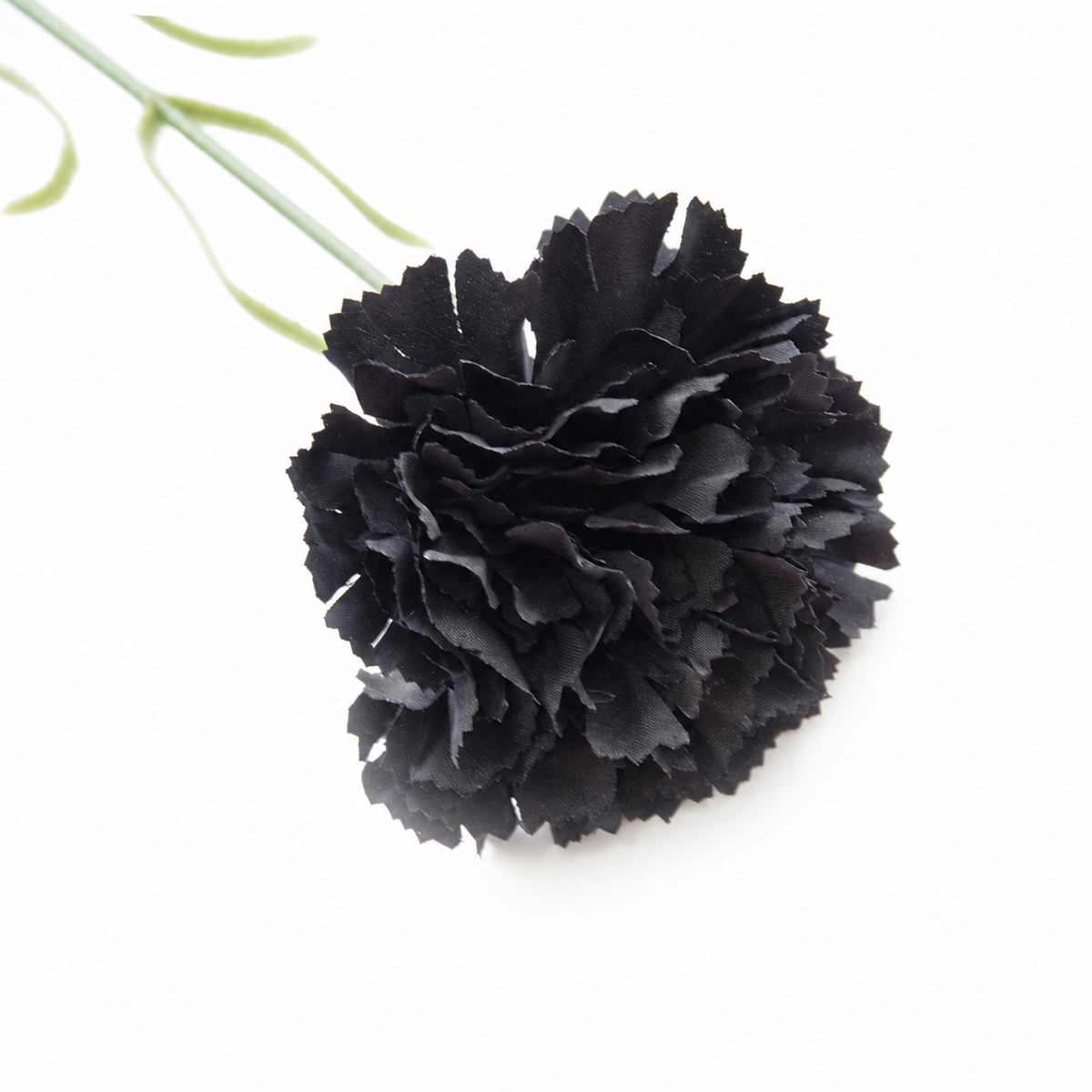 earthy_carnation_boho_backdrop