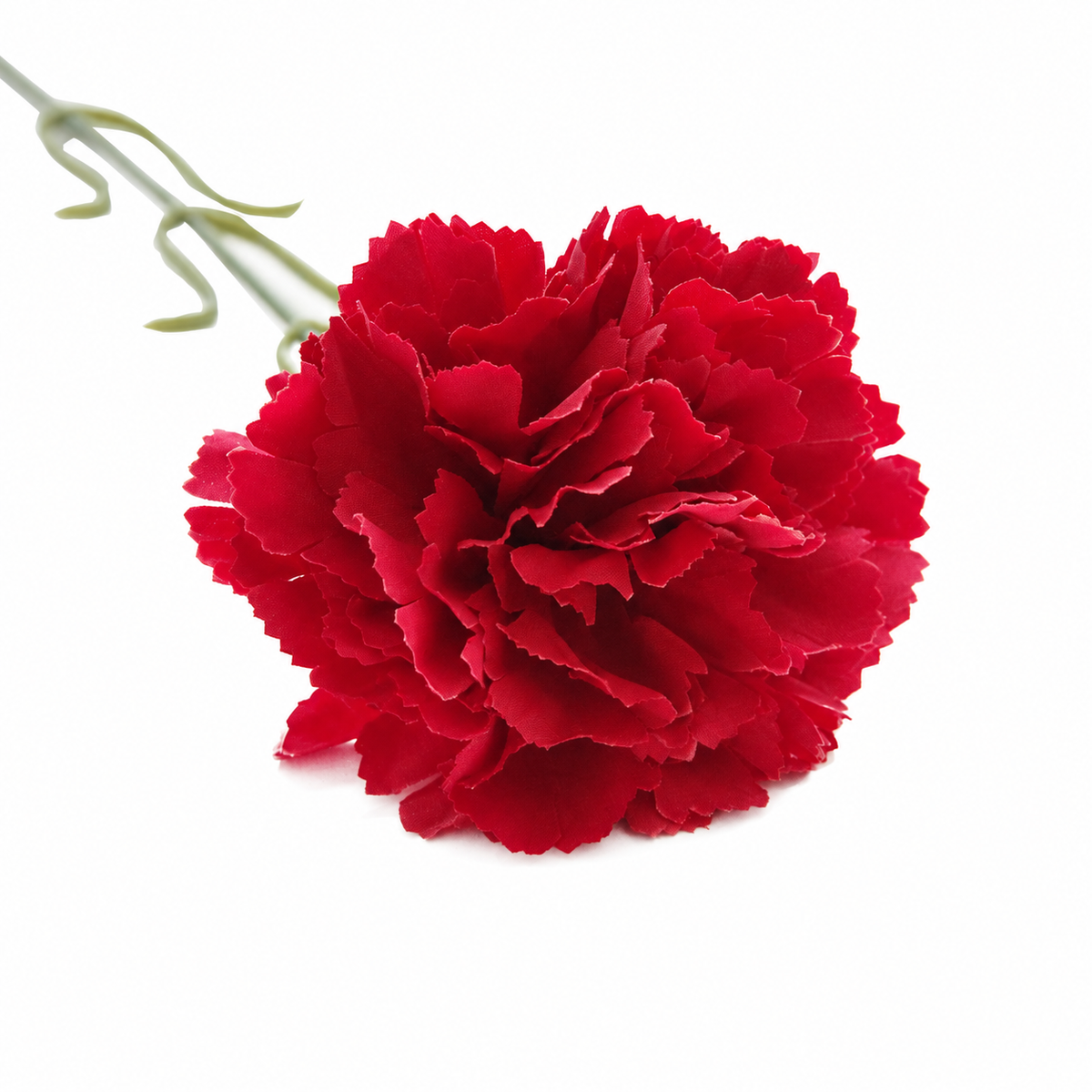 carnation_baptism_floral_setup