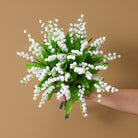 studio_shot_white_lily_of_valley_bunch
