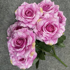 multitone_rose_flat_lay_display