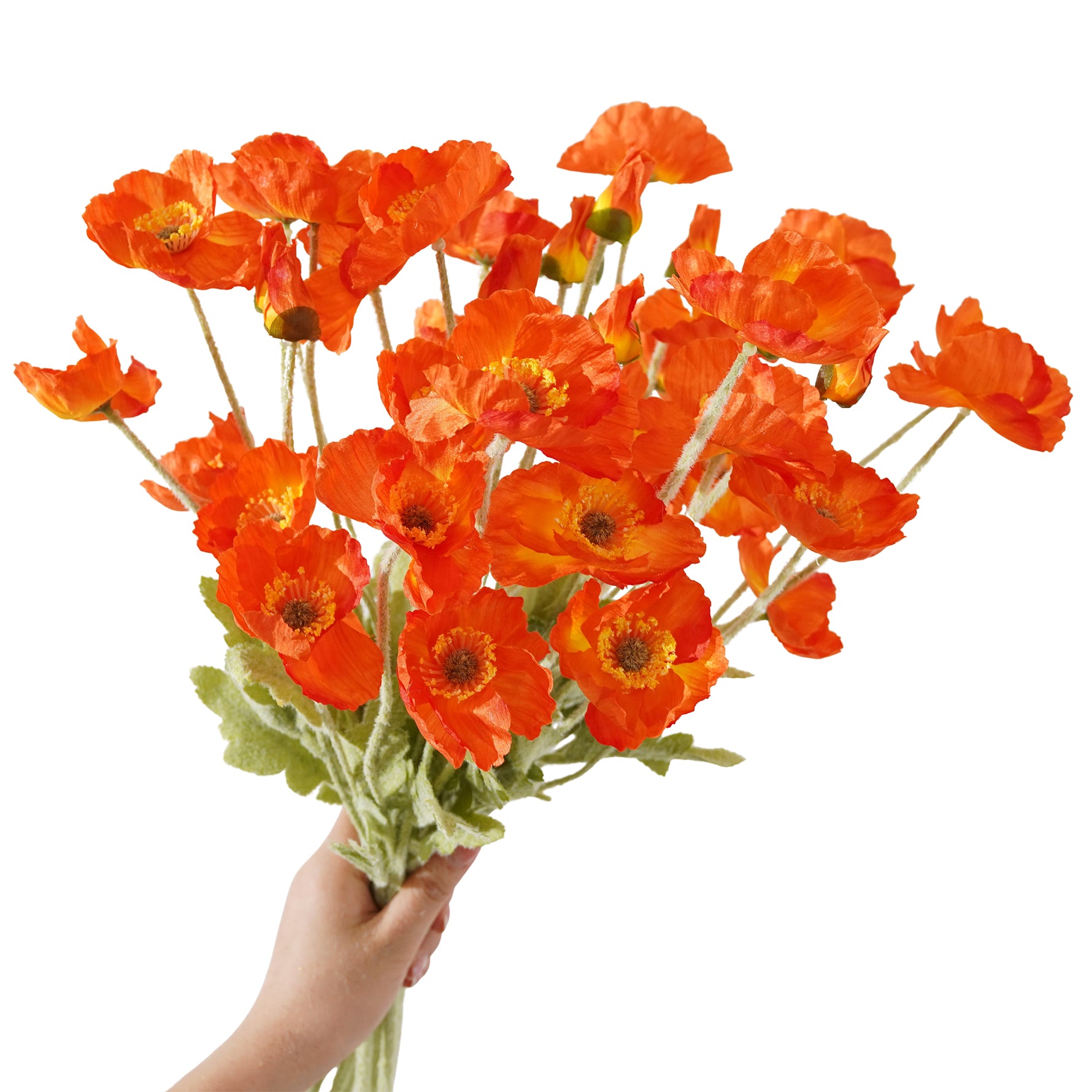 poppy-flower-stem-bundle