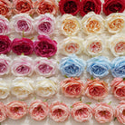 faux english rose heads wedding flower wall