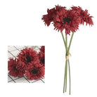 warm_apricot_gerbera_stem_product