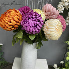 chrysanthemum_flat_lay