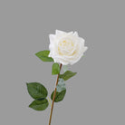 hand_hold_double_head_rose_sprig