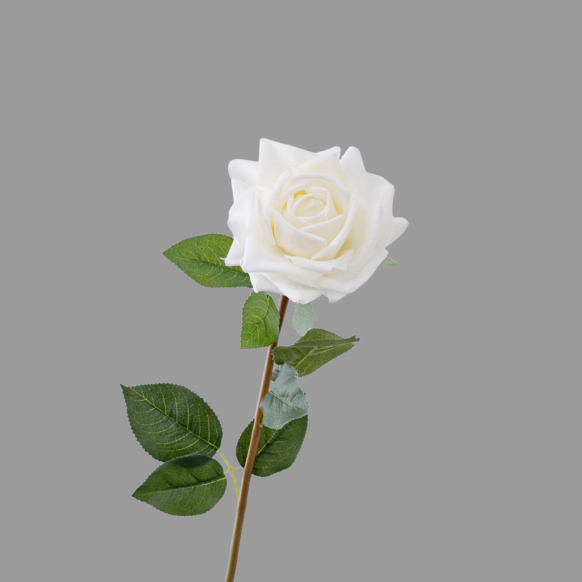 hand_hold_double_head_rose_sprig