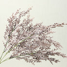 all_color_set_misty_grass_comparison