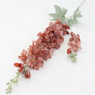 coffee delphinium