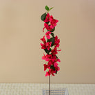 vivid_red_bougainvillea_bunch
