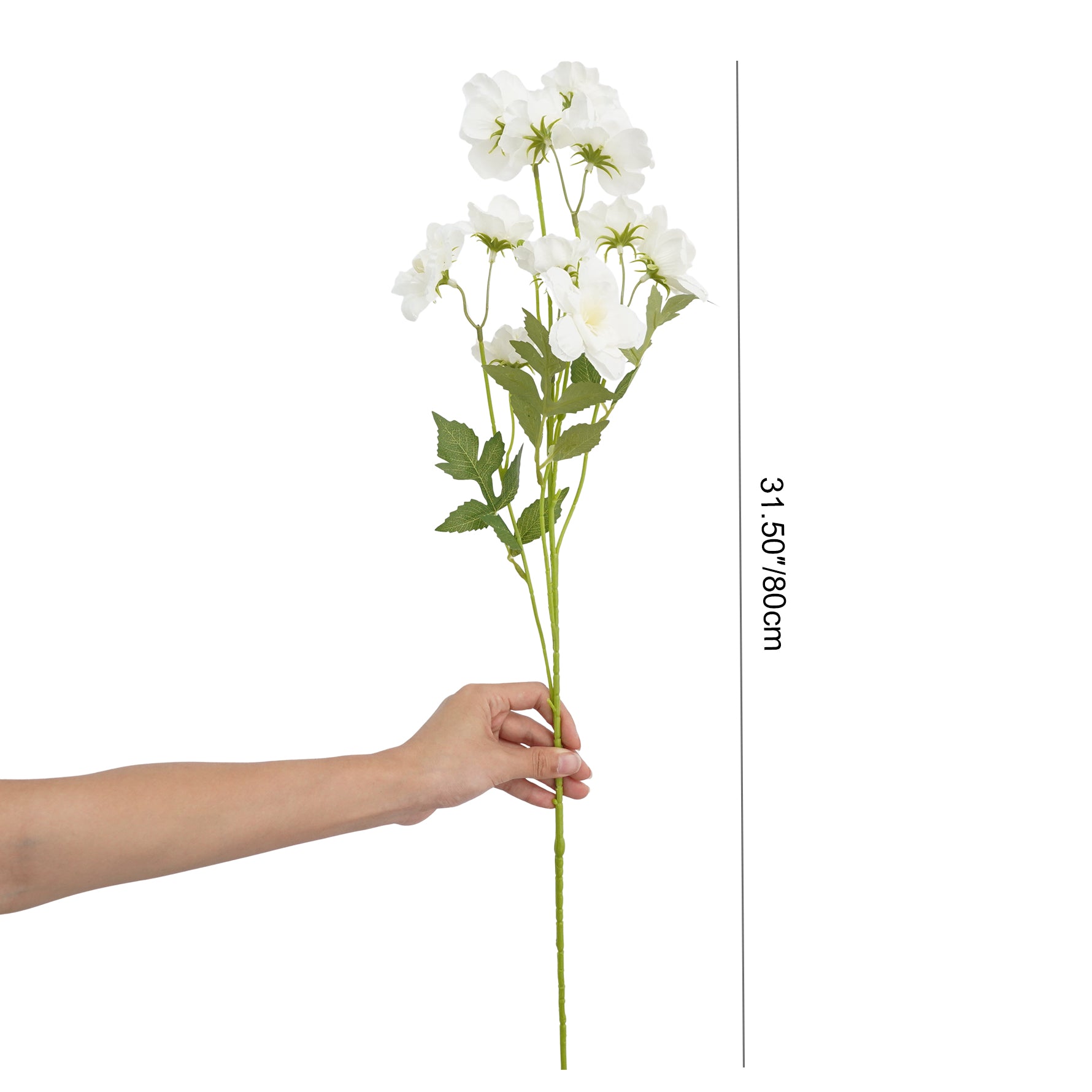 soft_gauze_backdrop_wild_rose_display