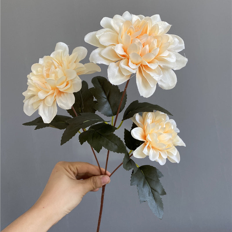 burgundy_dahlia_bunch