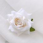 mixed_color_rose_heads_styled_shot