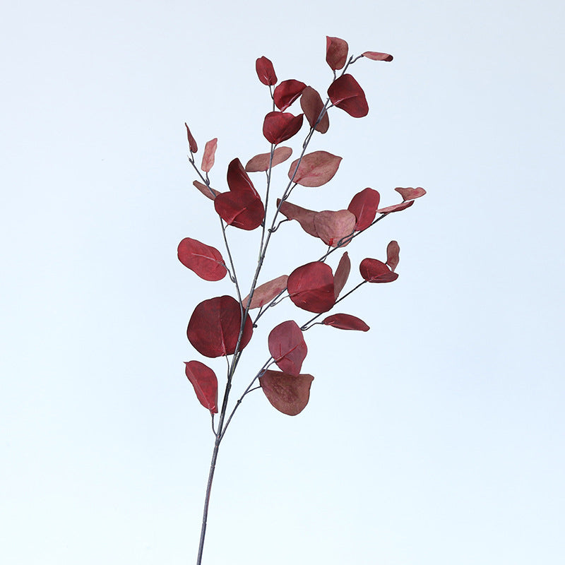 soft_blush_eucalyptus_leaf_closeup