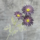 cream_yellow_daisy_branch