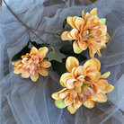 single_dahlia_branch