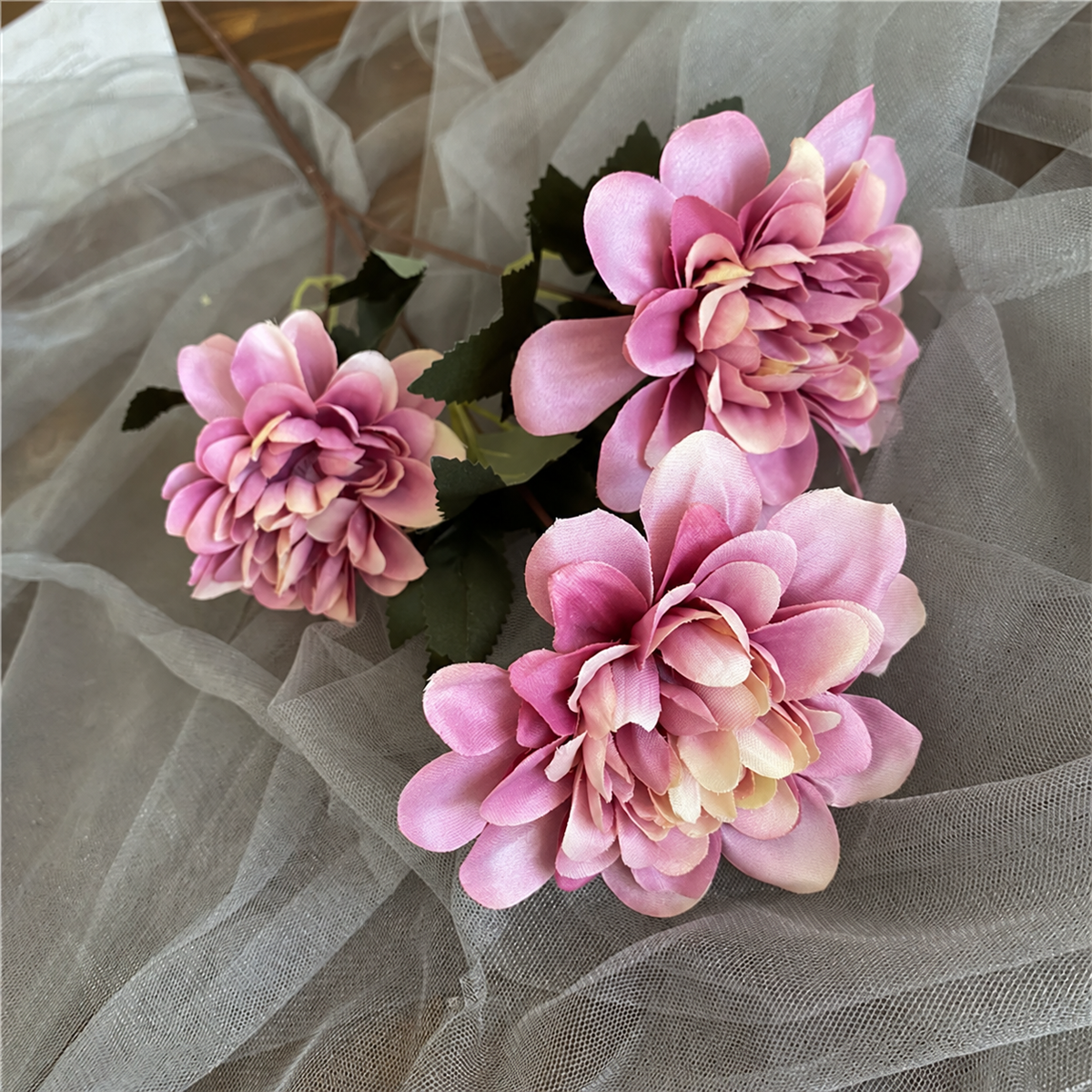 peach_dahlia_cluster