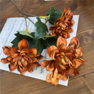 golden_hue_dahlia