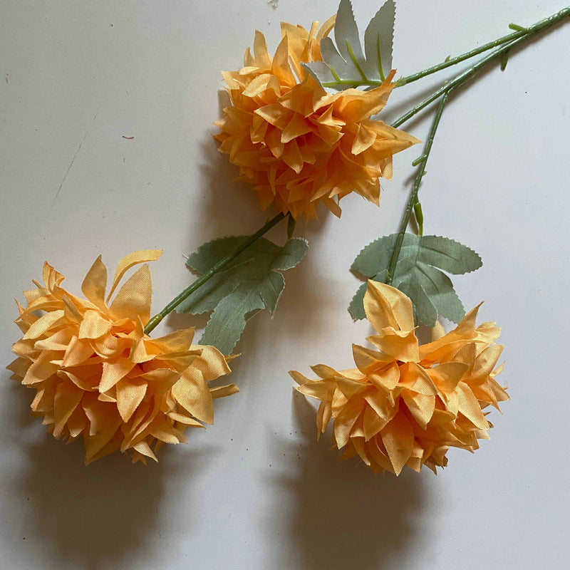 sunny_yellow_dahlia_bloom_stem