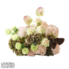 Pastel green peony mixed with hydrangea flowers