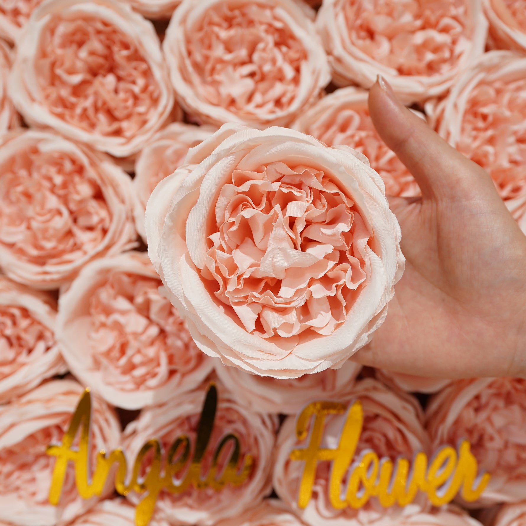 soft_blush_pink_silk_rose_heads