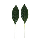 realistic-tropical-foliage-stem