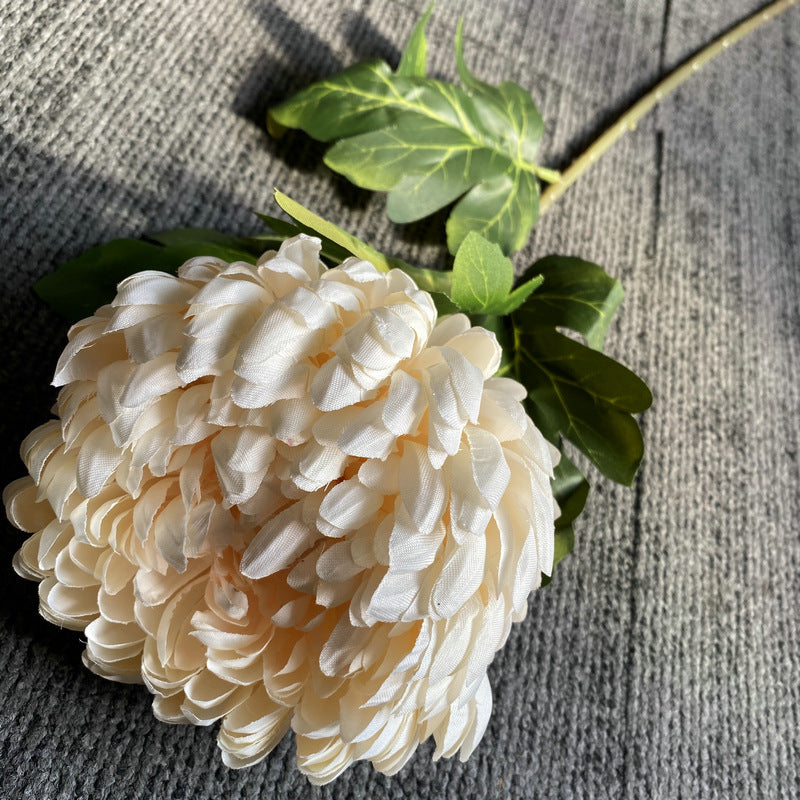 muted_orange_chrysanthemum_on_plank