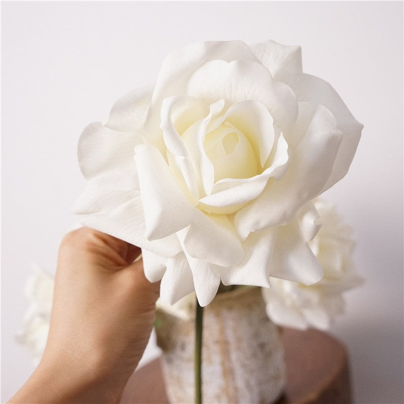 coral_peach_rose_bloom_detail_photo