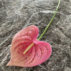 bright_yellow_artificial_anthurium