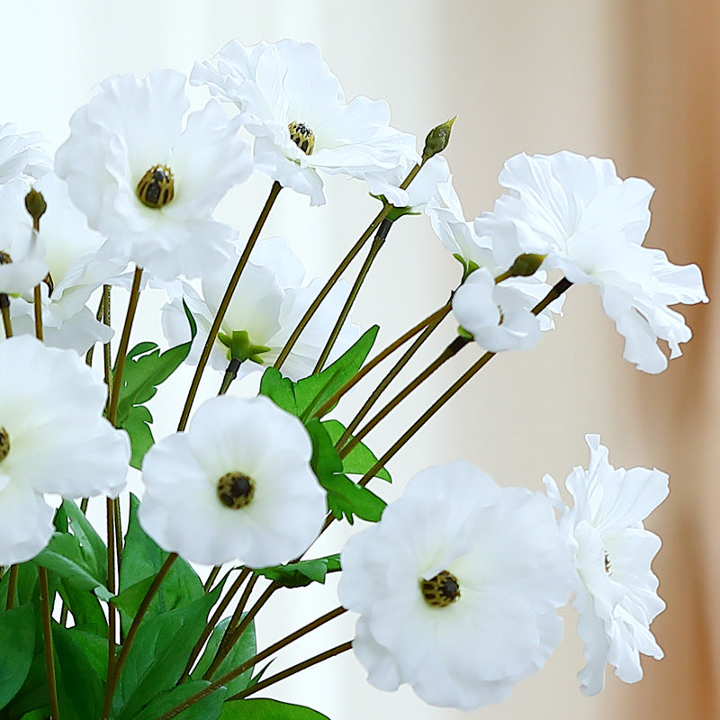 warm_iceland_poppy_yellow_group
