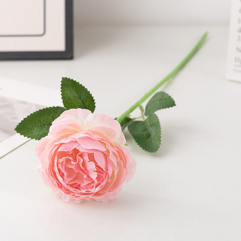 apricot_rose_minimal_setup