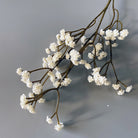 mini_preserved_gypsophila_blush