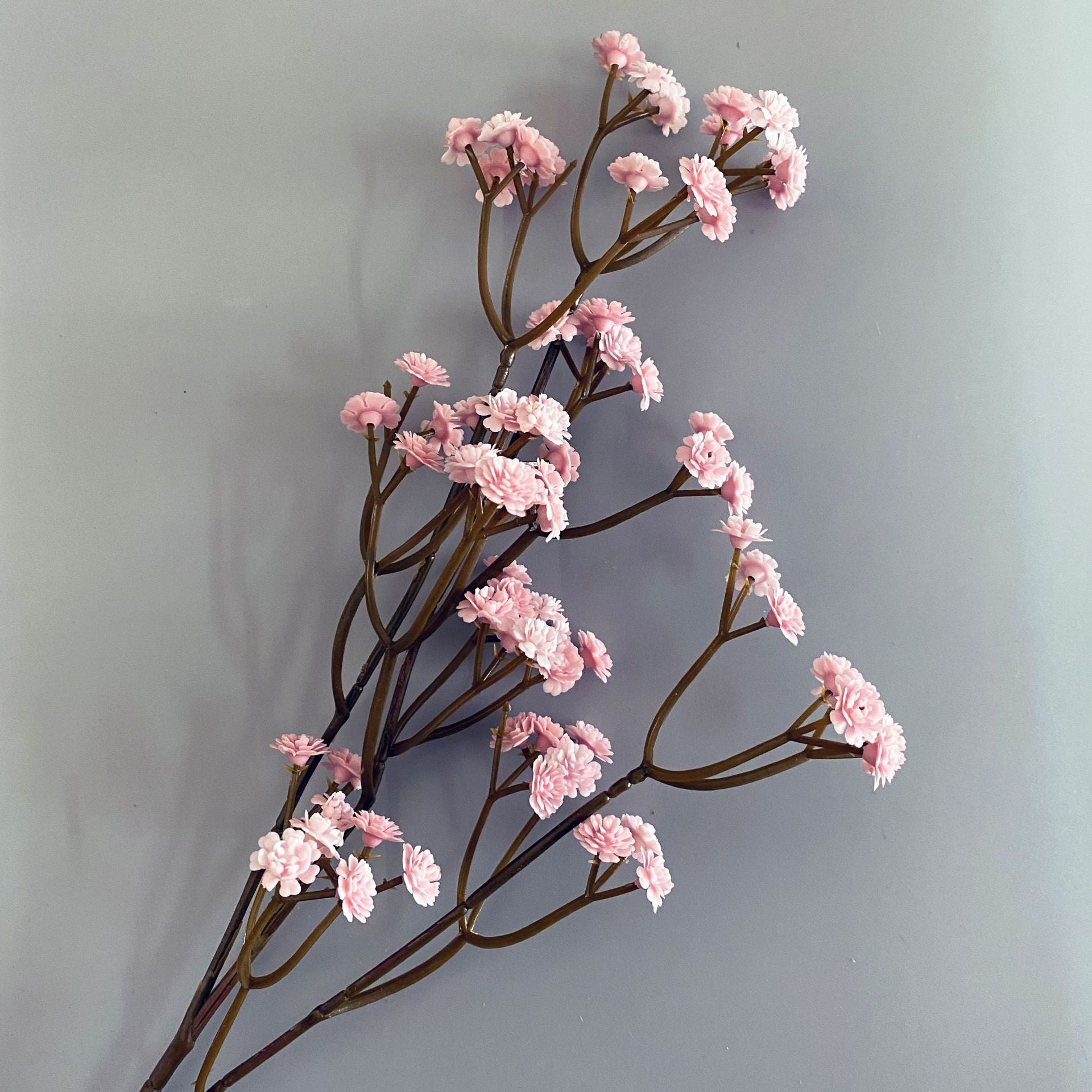 preserved_gypsophila_muted_orange