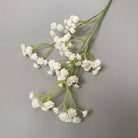 preserved_gypsophila_vintage_brown